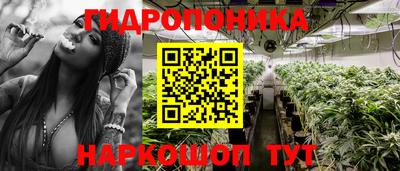 твердый Севастополь