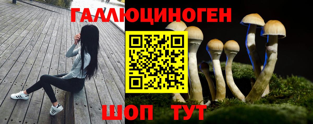 Псилоцибиновые грибы Cubensis Новодвинск