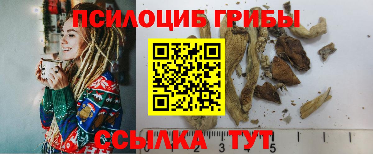 Псилоцибиновые грибы Cubensis  Вход с VPN  Новодвинск 